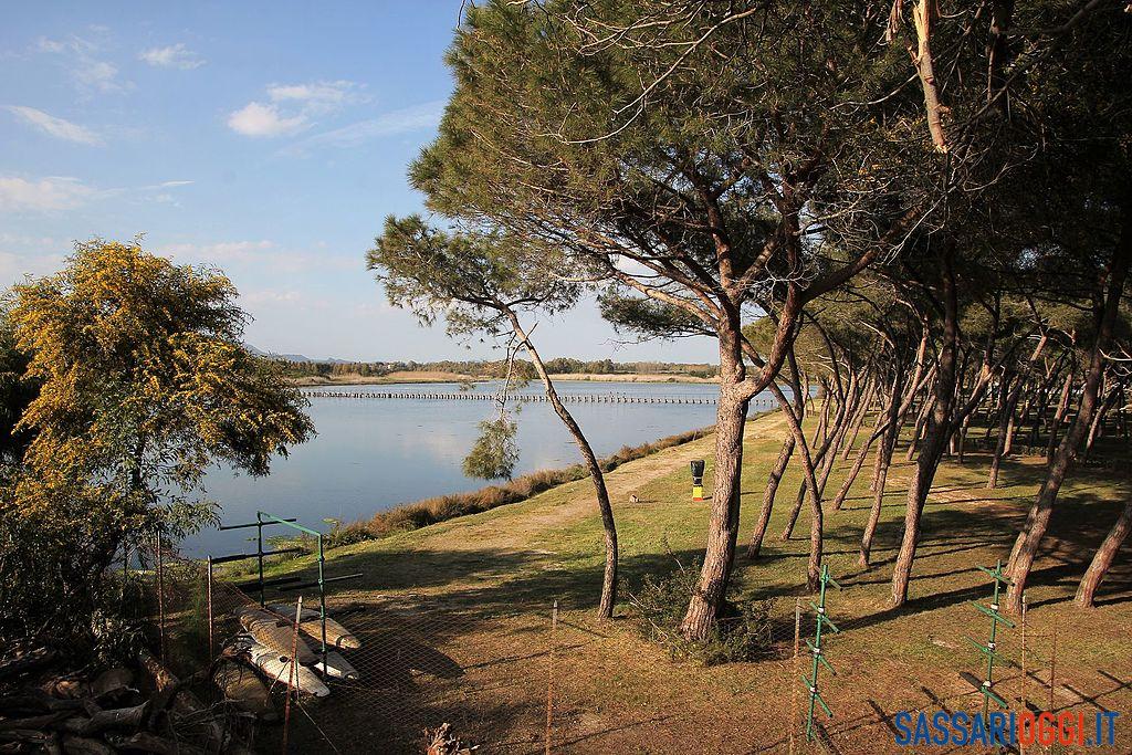 Moria di pesci nella laguna del Calich, le analisi sulle cause