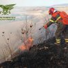 Incendio Forestale