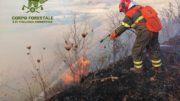 Incendio Forestale