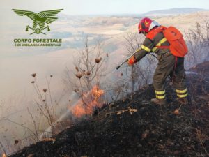 Incendio Forestale