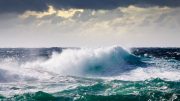 Mare