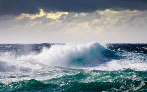 Mare