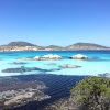 Asinara