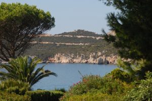 Capo Caccia nuove specie