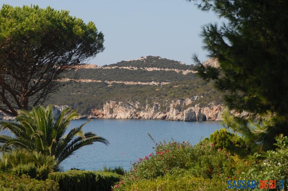 Capo Caccia nuove specie