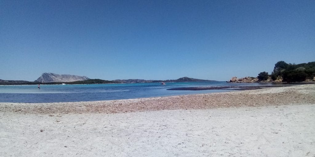 Posidonia spiaggia Alghero