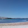 Posidonia spiaggia Alghero