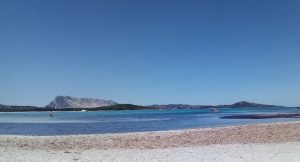 Posidonia spiaggia Alghero