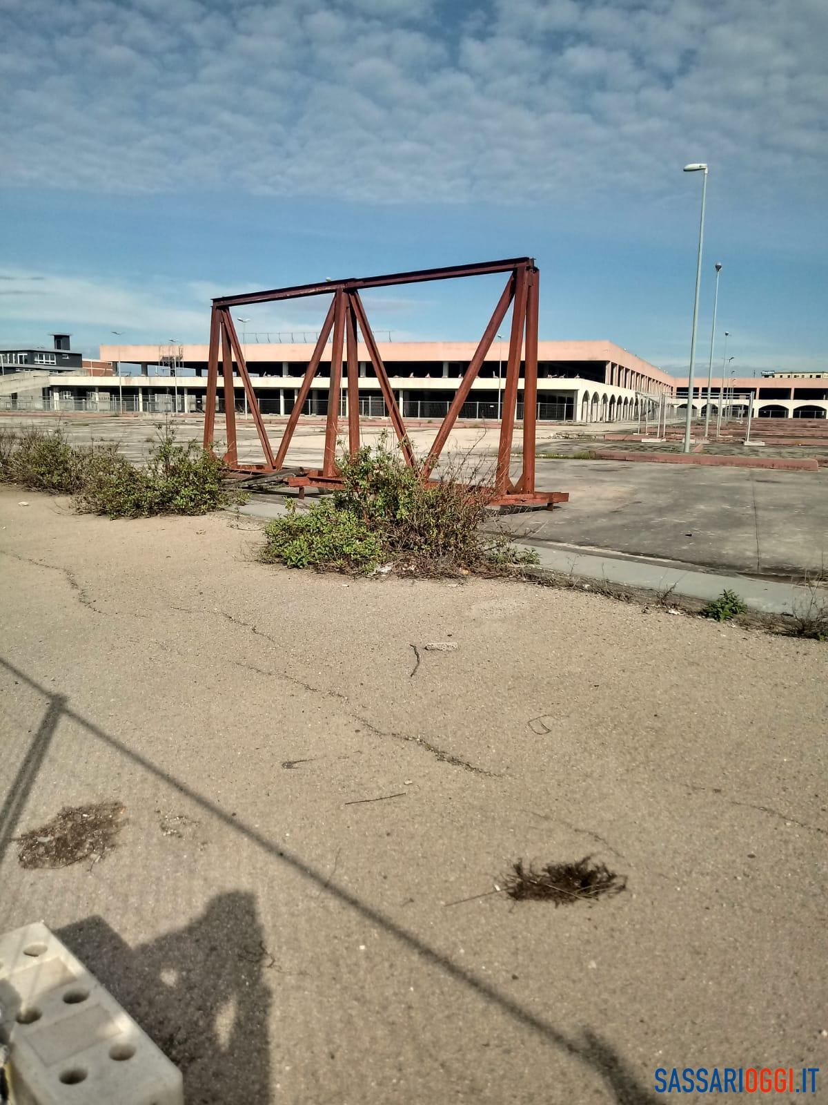 area MULTINEDDU zentu figghi sassari