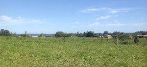 Campagne