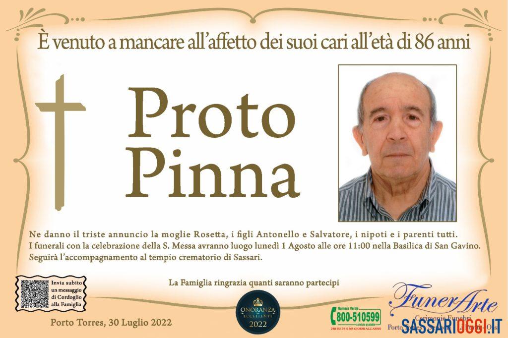 proto pinna