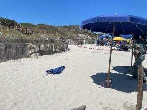 tartaruga marina stintino