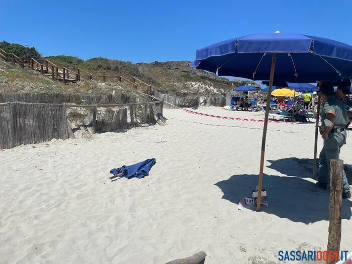 tartaruga marina stintino