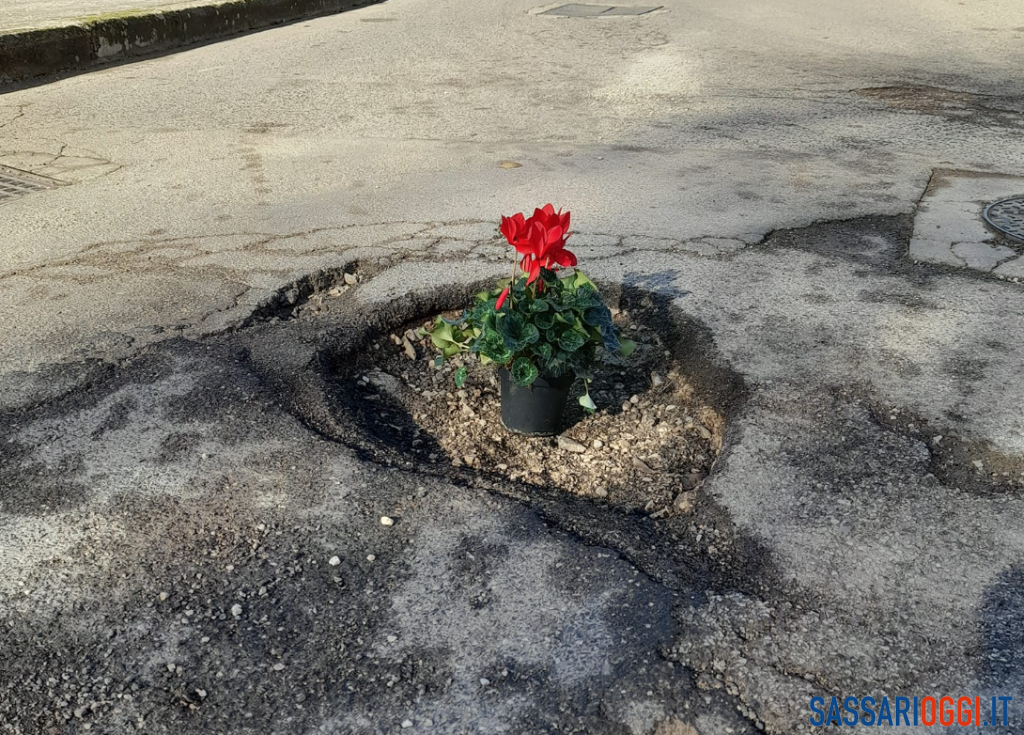 strada Sassari buca fiori buche