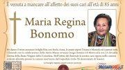 Maria Regina Bonomo