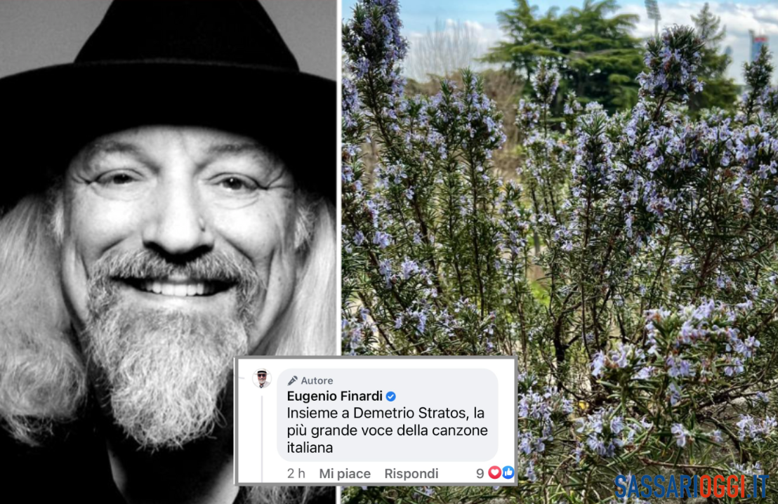 Finardi