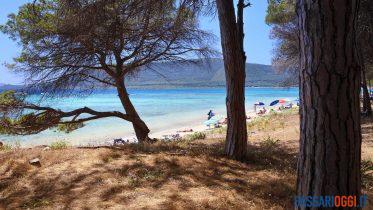 spiaggia mugoni alghero pineta