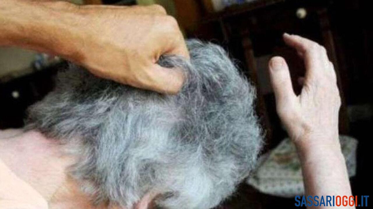 violenza abusi zia sassari