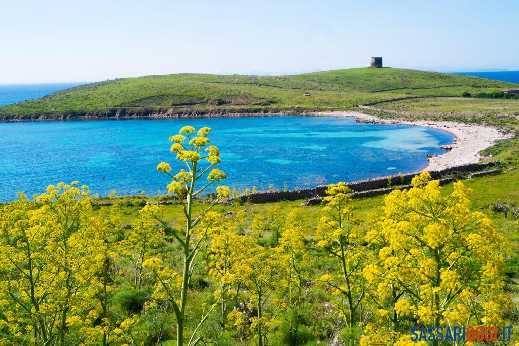 asinara commissario muntoni