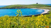 asinara commissario muntoni