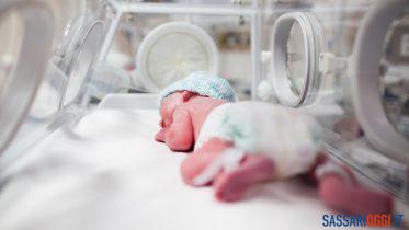 Neonato