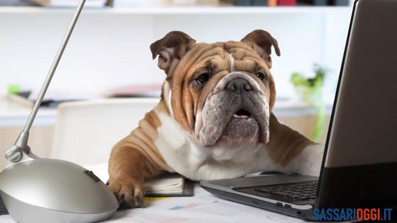 anagrafe canina sassari bono