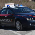 rapina bonorva