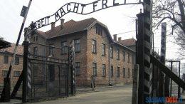 sennori auschwitz