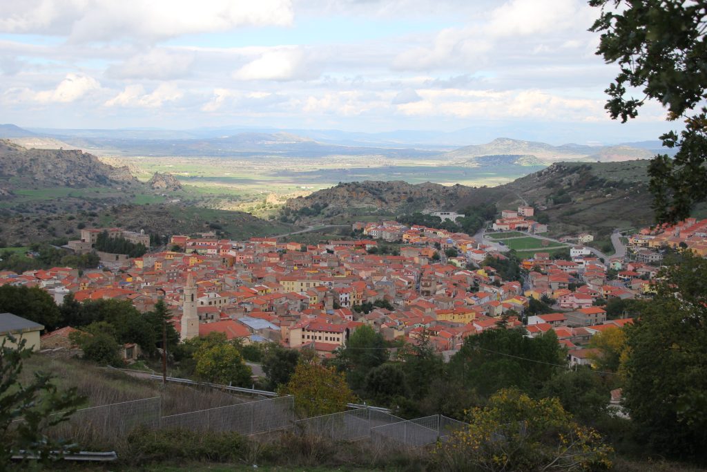 rapina bonorva