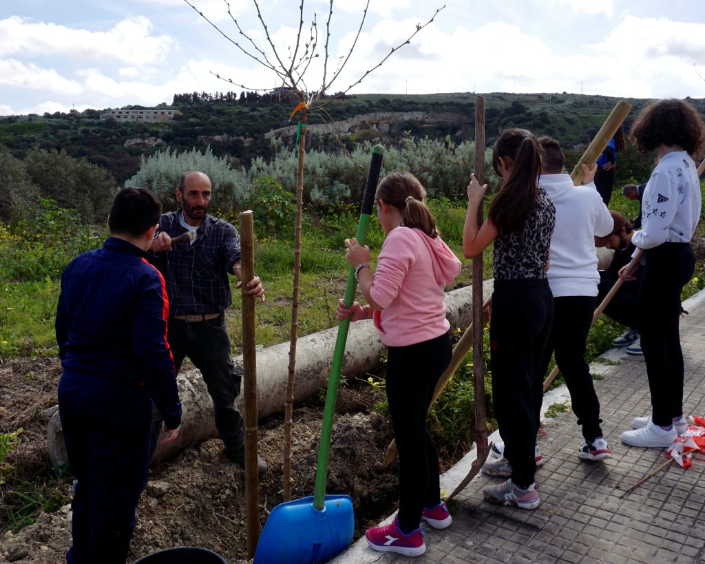 alberi Sennori