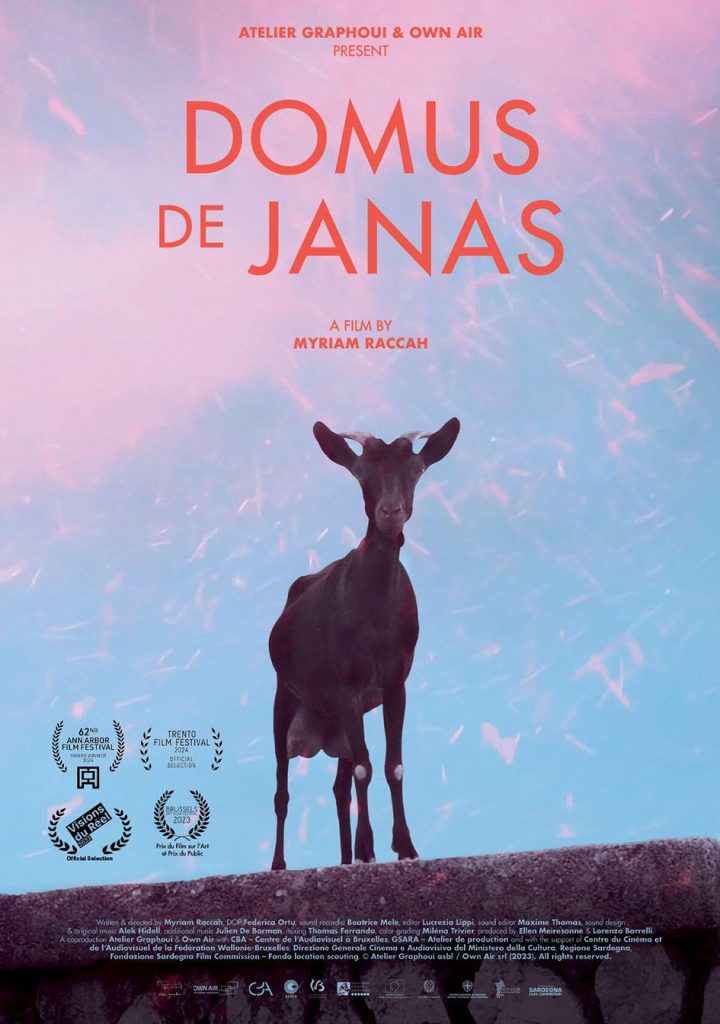 Spettacolo teatrale "Domus de Janas"