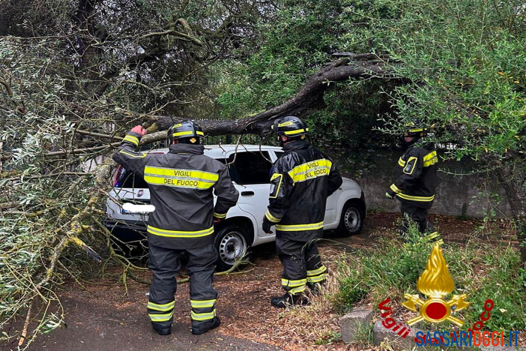 auto monte bianchinu