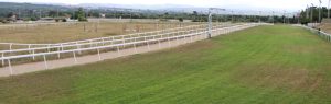 ippodromo pinna sassari