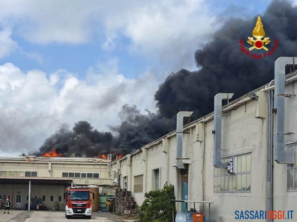 ex safisarda