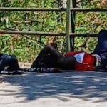 Dorme in strada, mangia dalla spazzatura il caso dell'extracomunitario a Sassari
