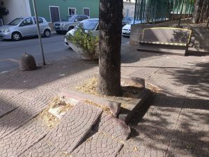 Erbacce e buche, ancora disagi nel quartiere di Li Punti a Sassari