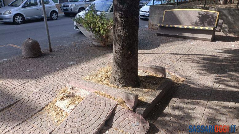Erbacce e buche, ancora disagi nel quartiere di Li Punti a Sassari