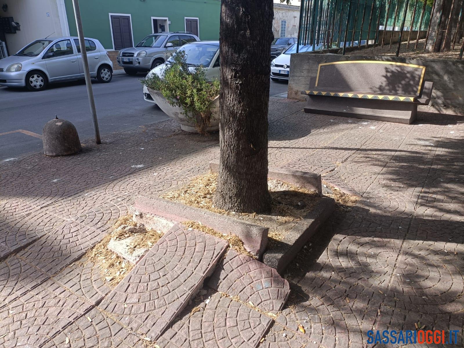 Erbacce e buche, ancora disagi nel quartiere di Li Punti a Sassari