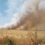 Incendio Bonorva