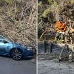 Si spezzano i rami dell'albero, danneggiata un'auto a Sorso