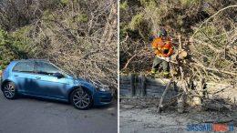 Si spezzano i rami dell'albero, danneggiata un'auto a Sorso