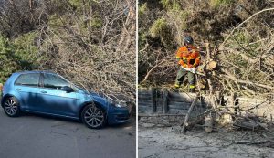 Si spezzano i rami dell'albero, danneggiata un'auto a Sorso