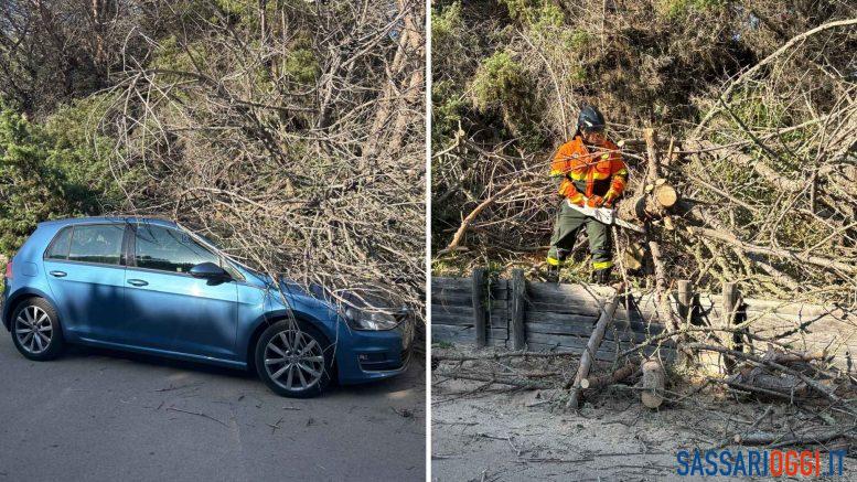 Si spezzano i rami dell'albero, danneggiata un'auto a Sorso