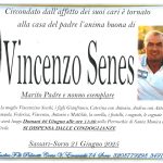Vincenzo Senes