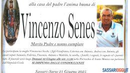 Vincenzo Senes