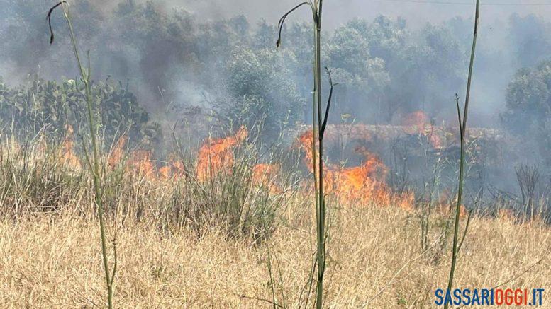 Fiamme nelle campagne di Sassari, antincendio a lavoro da ore