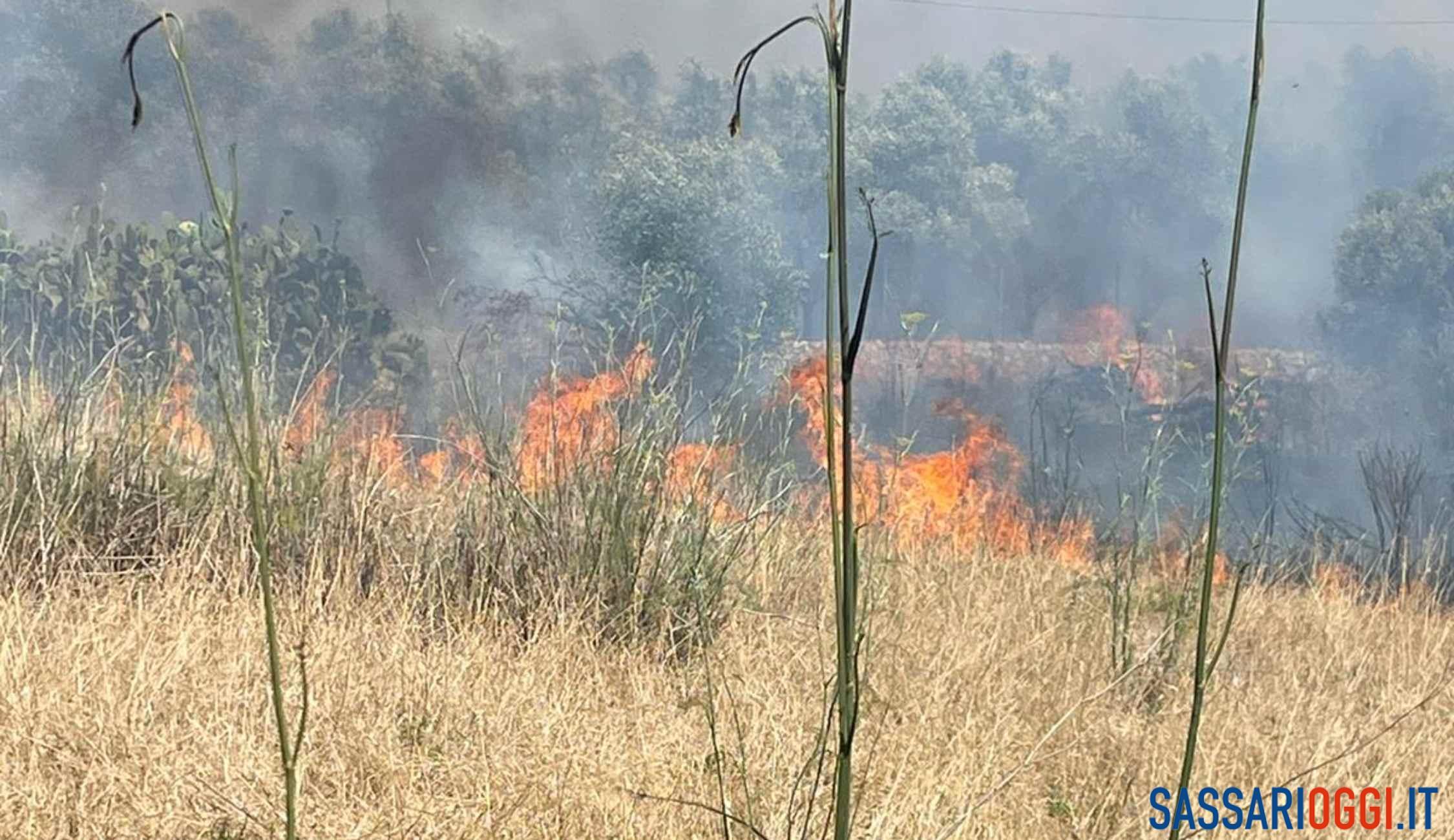 Fiamme nelle campagne di Sassari, antincendio a lavoro da ore