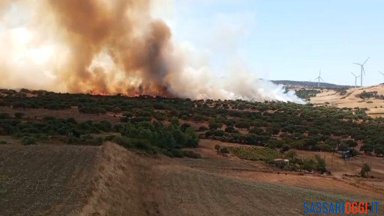 Inferno di fuoco a Sedini, l'incendio vicino il parco eolico