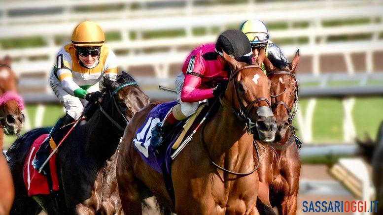 unione galoppo sardegna alghero