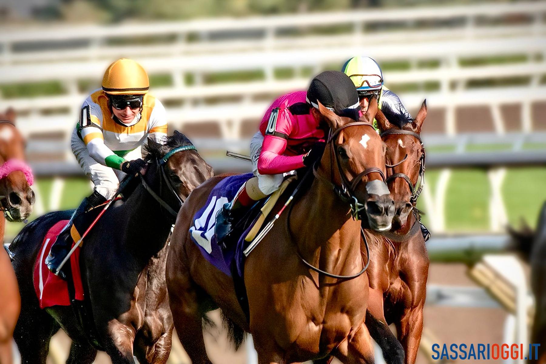 unione galoppo sardegna alghero